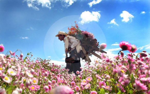 Festa das Flores na Colômbia e Panamá